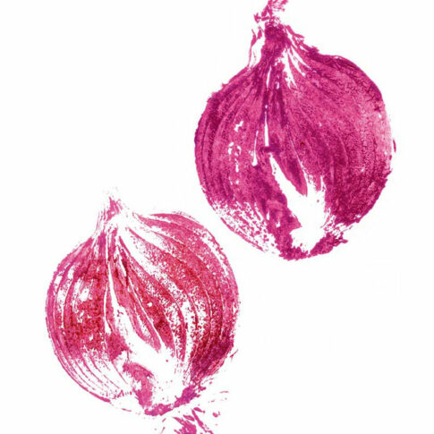 Illustration Gemüsestempel Zwiebeln